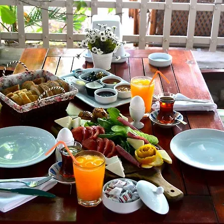 Mimoza Hotel 5*