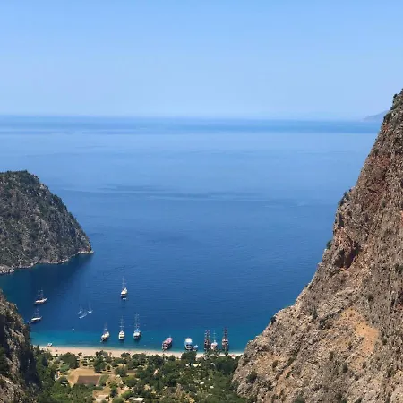 Mimoza 5*