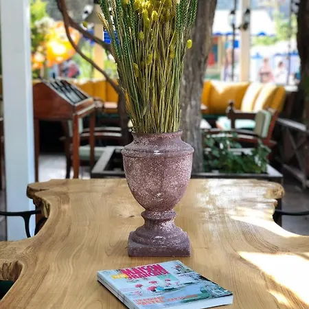 Hotel Mimoza Oludeniz