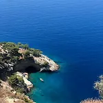 Mimoza Ölüdeniz