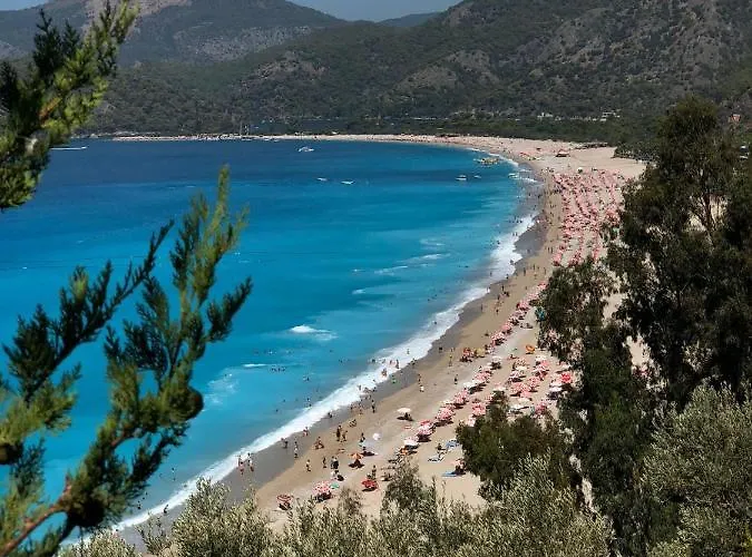 Hotell Mimoza