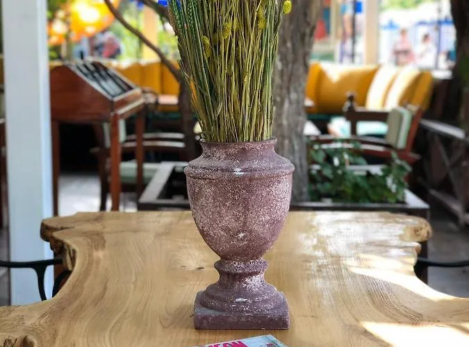 Hotell Mimoza Öludeniz
