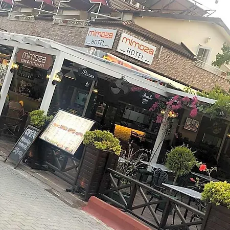 Hotel Mimoza 5*