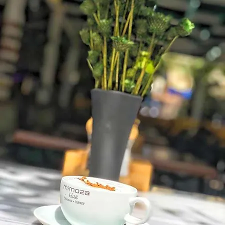 Mimoza 5* Oludeniz