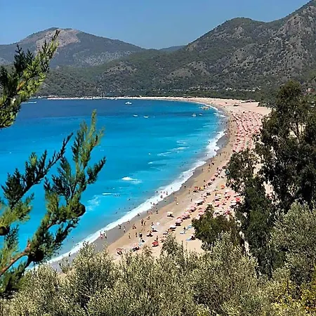 Mimoza Oludeniz