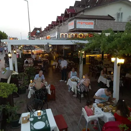 Mimoza Ξενοδοχείο Ολουντενίζ