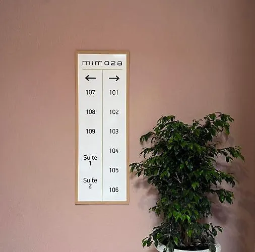 Mimoza أولدينيس