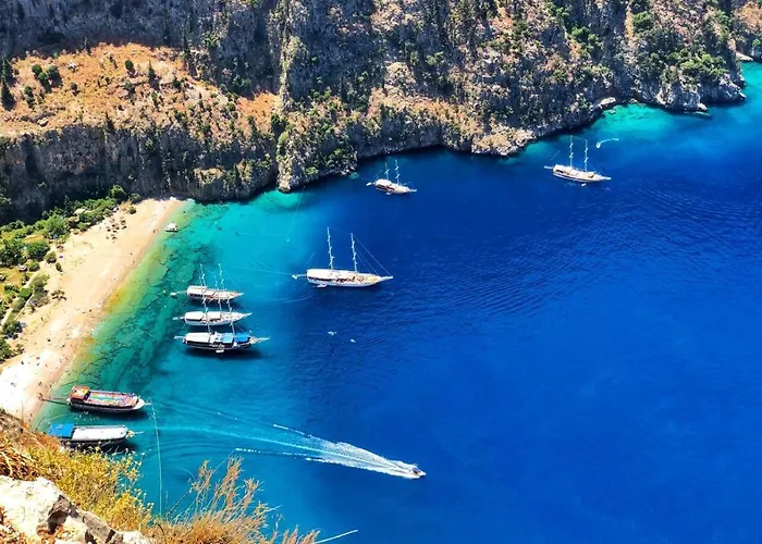 Mimoza 5* אולודניץ